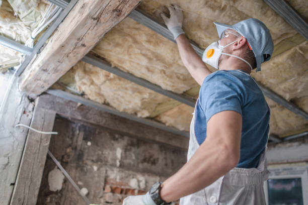 Best Commercial Insulation in West Athens, CA