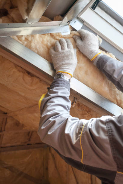 Best Types of Insulation in West Athens, CA