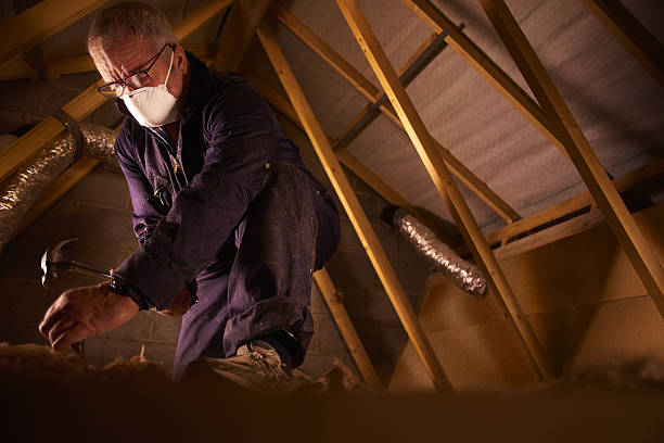 Best Insulation Maintenance and Repair in West Athens, CA